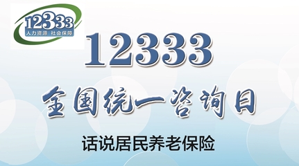 12333全國(guó)統(tǒng)一咨詢?nèi)?詳解淄博市居民養(yǎng)老保險(xiǎn)，社會(huì)經(jīng)濟(jì)咨詢服務(wù)在身邊